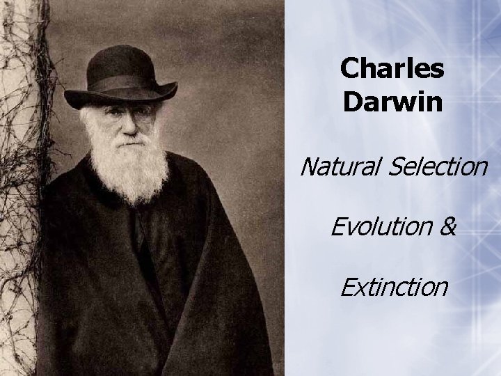 Charles Darwin Natural Selection Evolution & Extinction 
