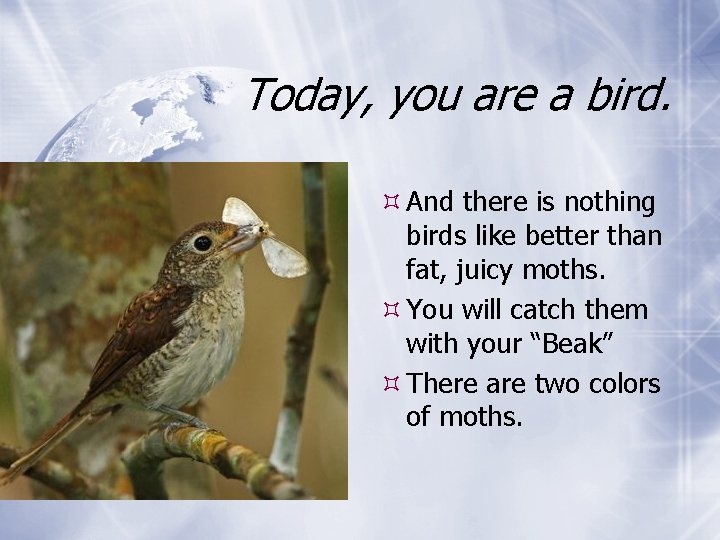 Today, you are a bird. And there is nothing birds like better than fat,