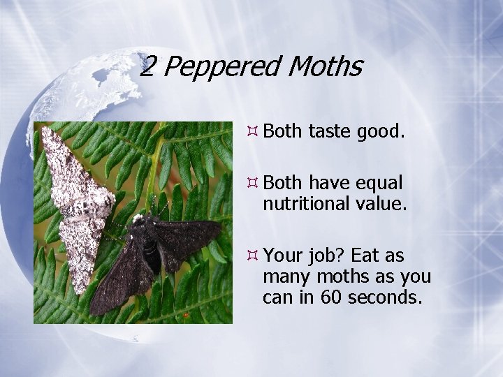 2 Peppered Moths Both taste good. Both have equal nutritional value. Your job? Eat