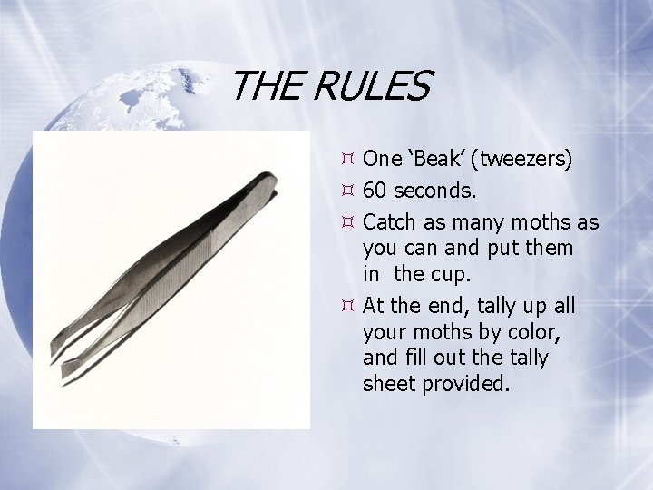 THE RULES One ‘Beak’ (tweezers) 60 seconds. Catch as many moths as you can