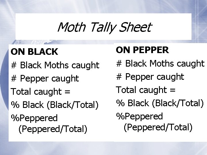 Moth Tally Sheet ON BLACK # Black Moths caught # Pepper caught Total caught