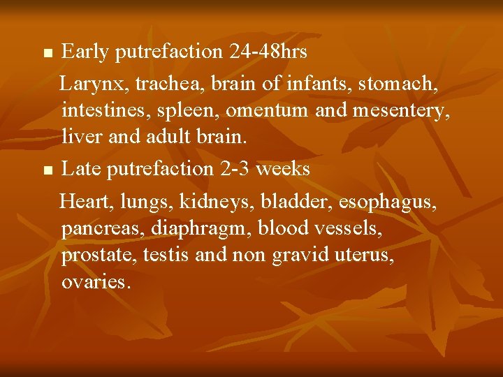 Early putrefaction 24 -48 hrs Larynx, trachea, brain of infants, stomach, intestines, spleen, omentum