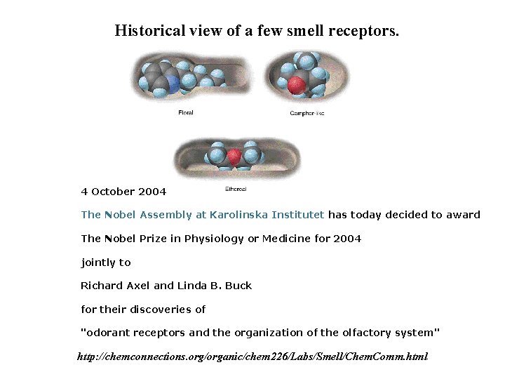 Historical view of a few smell receptors. 4 October 2004 The Nobel Assembly at Historical view of a few smell receptors. 4 October 2004 The Nobel Assembly at