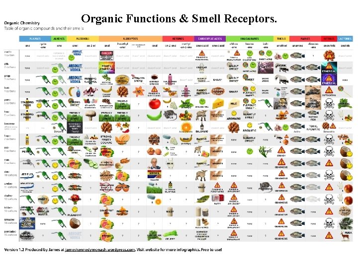 Organic Functions & Smell Receptors. Organic Functions & Smell Receptors.