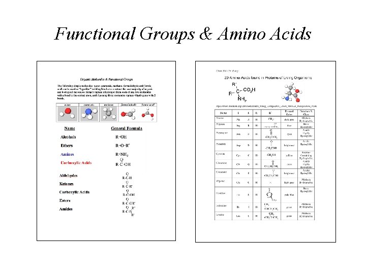 Functional Groups & Amino Acids Functional Groups & Amino Acids