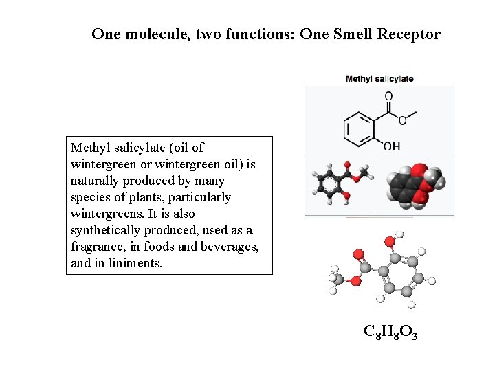 One molecule, two functions: One Smell Receptor Methyl salicylate (oil of wintergreen or wintergreen One molecule, two functions: One Smell Receptor Methyl salicylate (oil of wintergreen or wintergreen