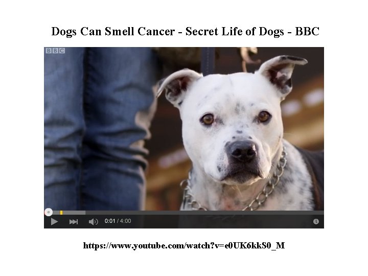 Dogs Can Smell Cancer - Secret Life of Dogs - BBC https: //www. youtube. Dogs Can Smell Cancer - Secret Life of Dogs - BBC https: //www. youtube.