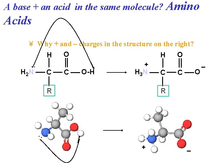 A base + an acid in the same molecule? Amino Acids : ¥ Why A base + an acid in the same molecule? Amino Acids : ¥ Why