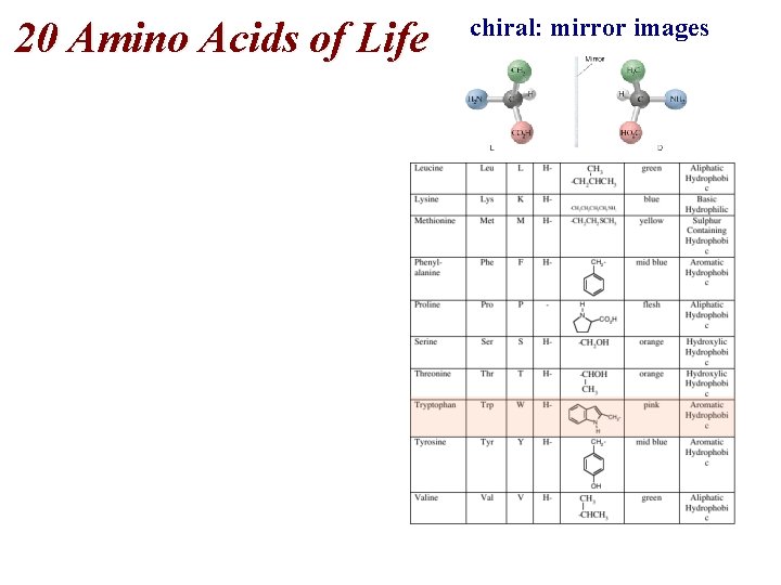 20 Amino Acids of Life chiral: mirror images 20 Amino Acids of Life chiral: mirror images
