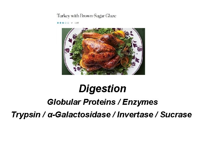 Digestion Globular Proteins / Enzymes Trypsin / α-Galactosidase / Invertase / Sucrase Digestion Globular Proteins / Enzymes Trypsin / α-Galactosidase / Invertase / Sucrase