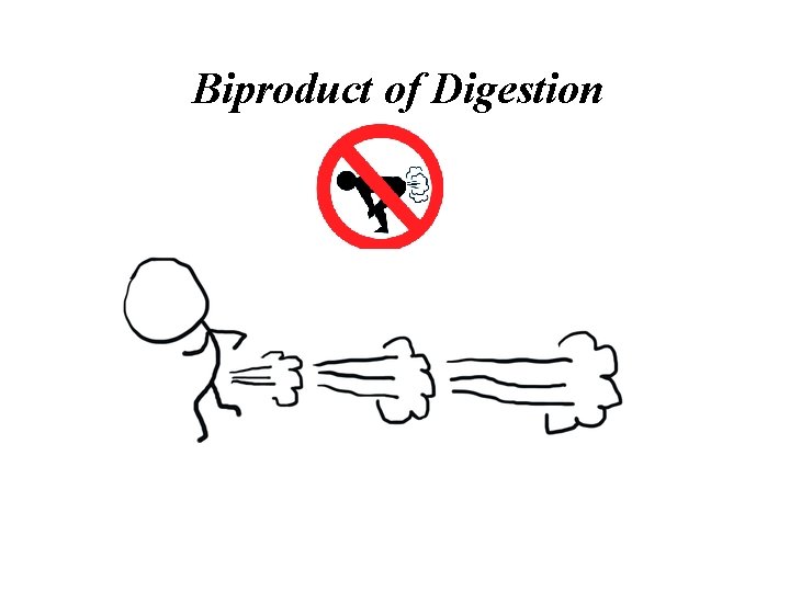 Biproduct of Digestion Biproduct of Digestion