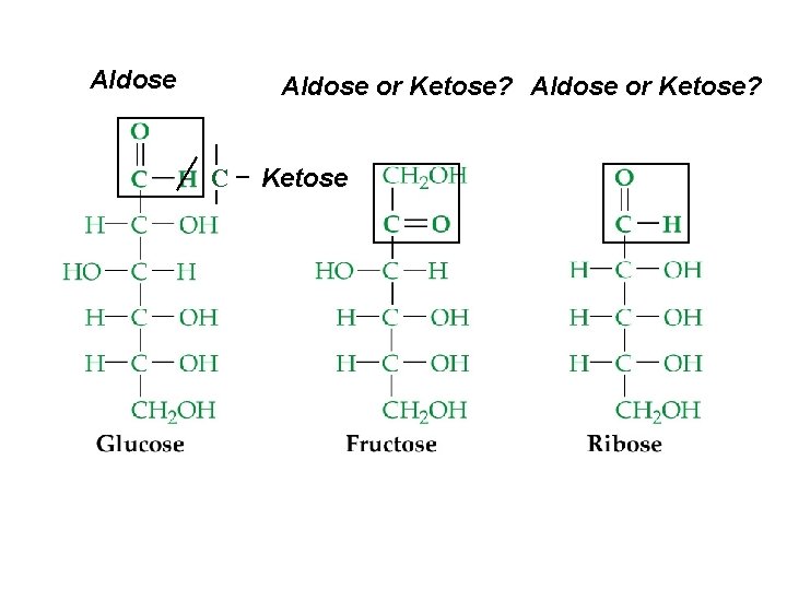 Aldose or Ketose? C Ketose Aldose or Ketose? C Ketose