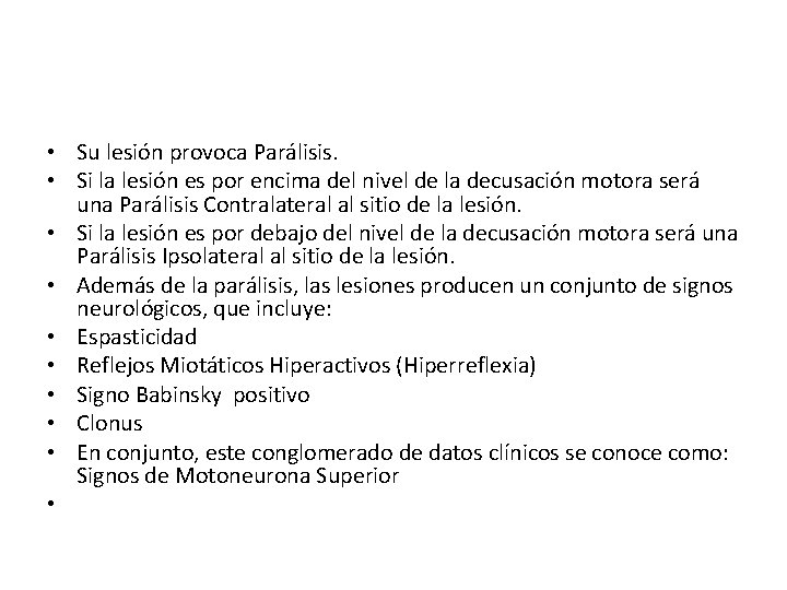  • Su lesión provoca Parálisis. • Si la lesión es por encima del