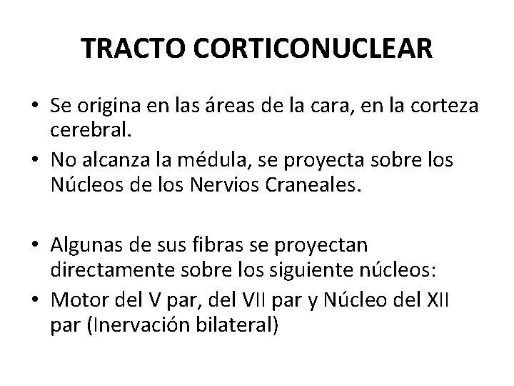 TRACTO CORTICONUCLEAR • Se origina en las áreas de la cara, en la corteza