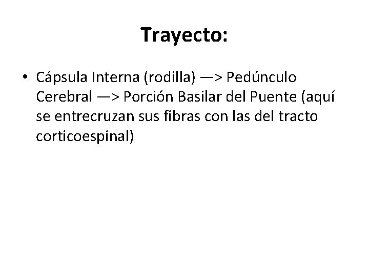 Trayecto: • Cápsula Interna (rodilla) —> Pedúnculo Cerebral —> Porción Basilar del Puente (aquí