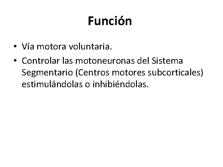 Función • Vía motora voluntaria. • Controlar las motoneuronas del Sistema Segmentario (Centros motores