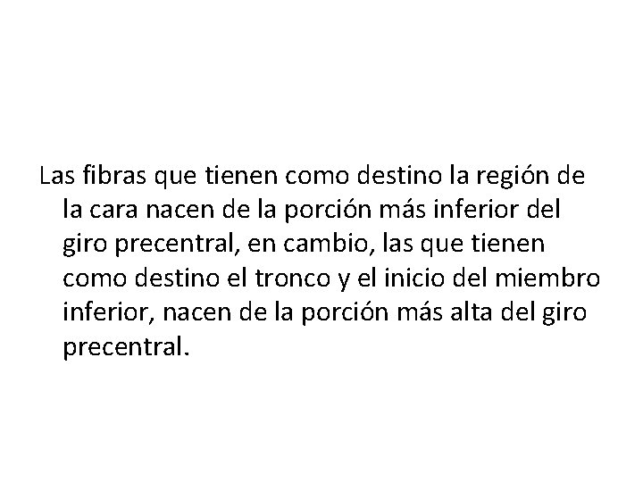 Las fibras que tienen como destino la región de la cara nacen de la