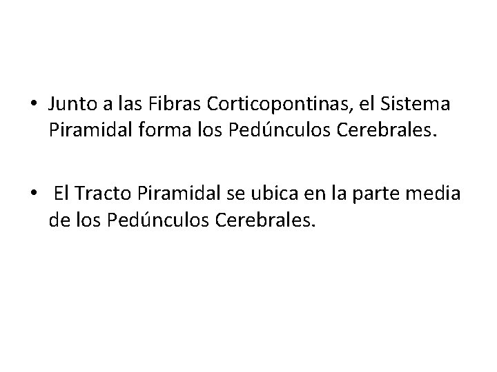  • Junto a las Fibras Corticopontinas, el Sistema Piramidal forma los Pedúnculos Cerebrales.