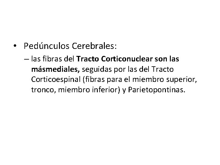  • Pedúnculos Cerebrales: – las fibras del Tracto Corticonuclear son las másmediales, seguidas