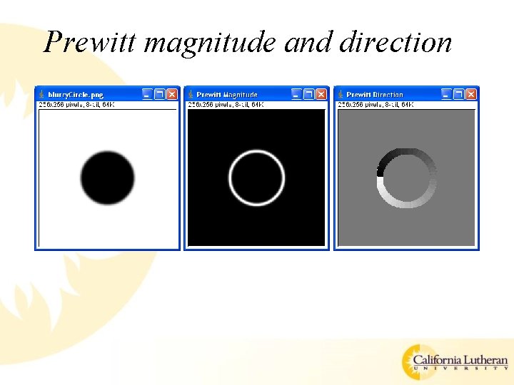 Prewitt magnitude and direction 