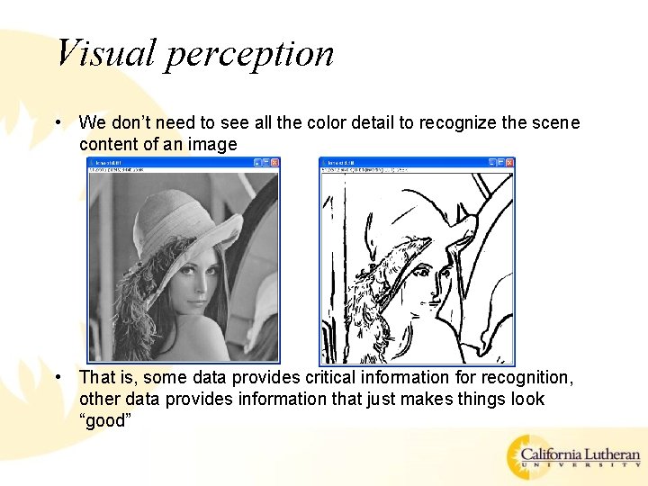 Visual perception • We don’t need to see all the color detail to recognize