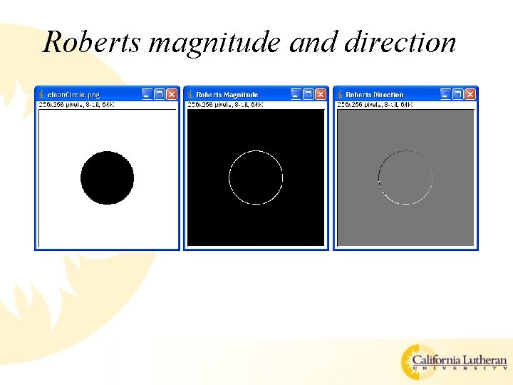 Roberts magnitude and direction 