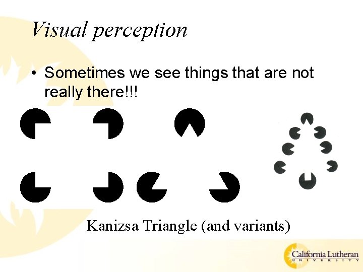 Visual perception • Sometimes we see things that are not really there!!! Kanizsa Triangle