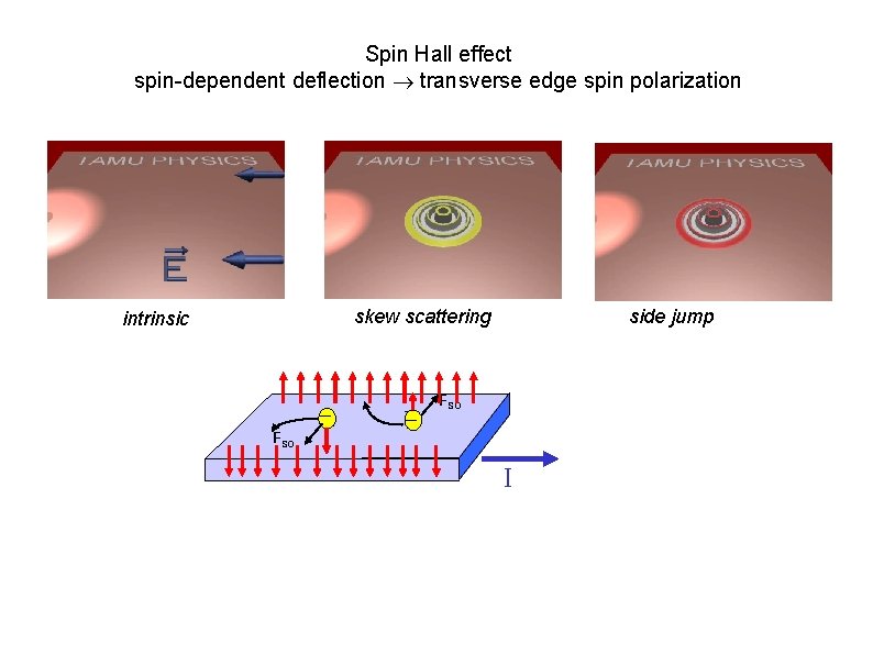 Spin Hall effect spin-dependent deflection transverse edge spin polarization skew scattering intrinsic _ __ Spin Hall effect spin-dependent deflection transverse edge spin polarization skew scattering intrinsic _ __