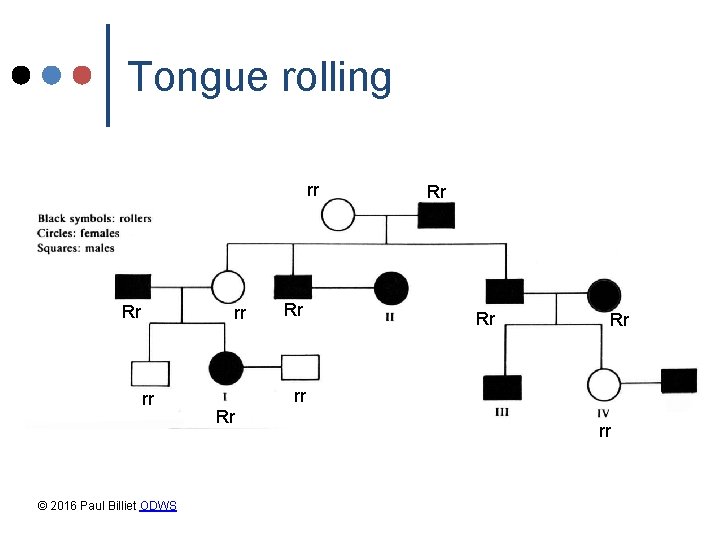 Tongue rolling rr Rr rr rr © 2016 Paul Billiet ODWS Rr Rr rr Tongue rolling rr Rr rr rr © 2016 Paul Billiet ODWS Rr Rr rr