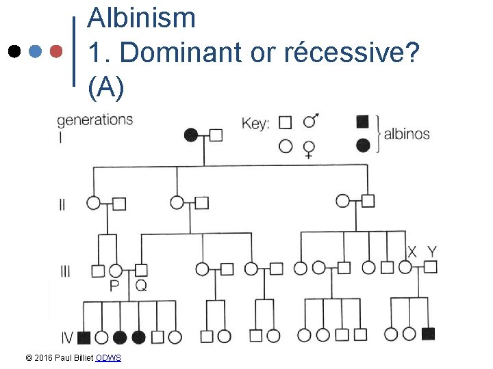 Albinism 1. Dominant or récessive? (A) © 2016 Paul Billiet ODWS Albinism 1. Dominant or récessive? (A) © 2016 Paul Billiet ODWS