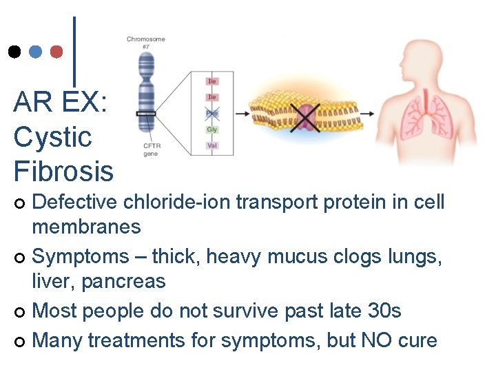 AR EX: Cystic Fibrosis Defective chloride-ion transport protein in cell membranes ¢ Symptoms – AR EX: Cystic Fibrosis Defective chloride-ion transport protein in cell membranes ¢ Symptoms –