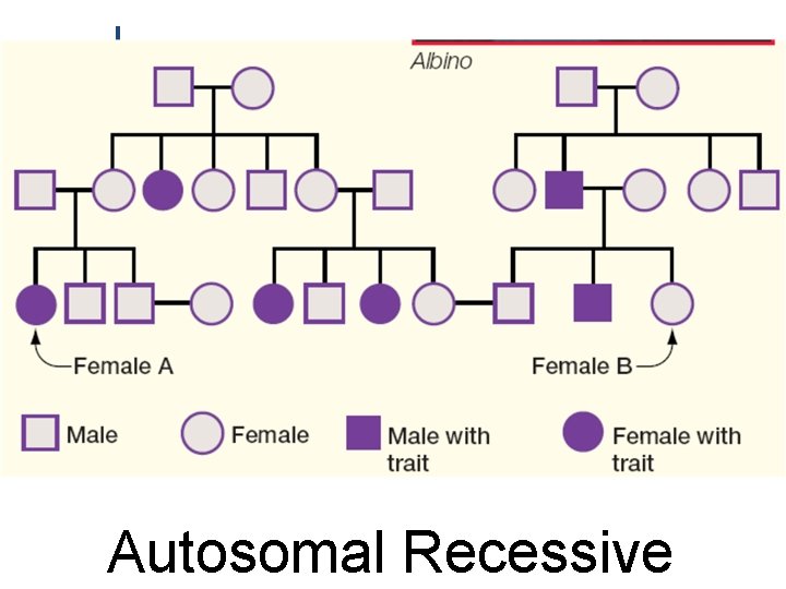 Autosomal Recessive Autosomal Recessive