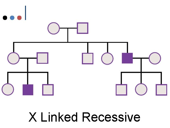 X Linked Recessive X Linked Recessive