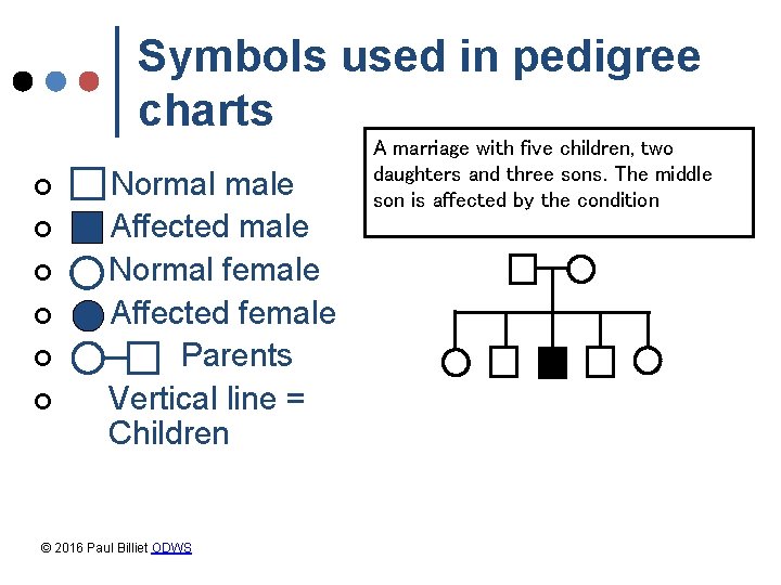 Symbols used in pedigree charts ¢ ¢ ¢ Normal male Affected male Normal female Symbols used in pedigree charts ¢ ¢ ¢ Normal male Affected male Normal female