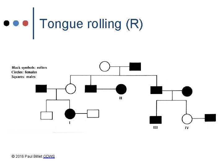 Tongue rolling (R) © 2016 Paul Billiet ODWS Tongue rolling (R) © 2016 Paul Billiet ODWS