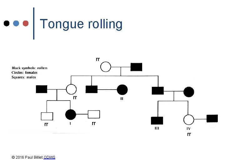 Tongue rolling rr rr rr © 2016 Paul Billiet ODWS Tongue rolling rr rr rr © 2016 Paul Billiet ODWS