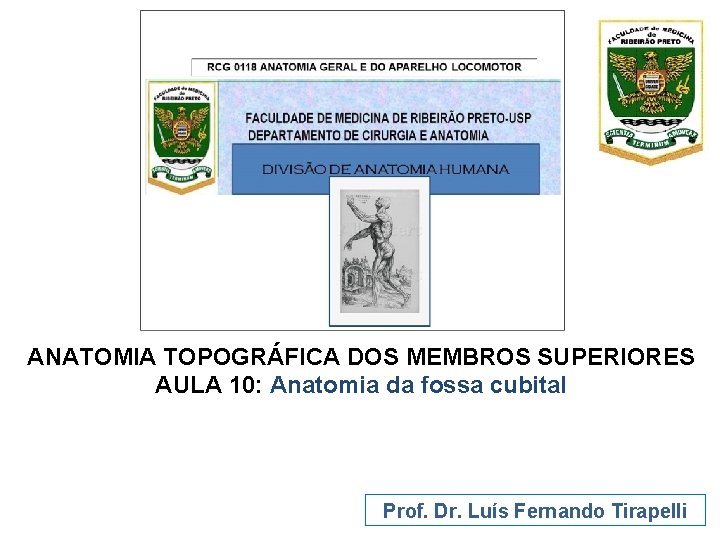 ANATOMIA TOPOGRÁFICA DOS MEMBROS SUPERIORES AULA 10: Anatomia da fossa cubital Prof. Dr. Luís