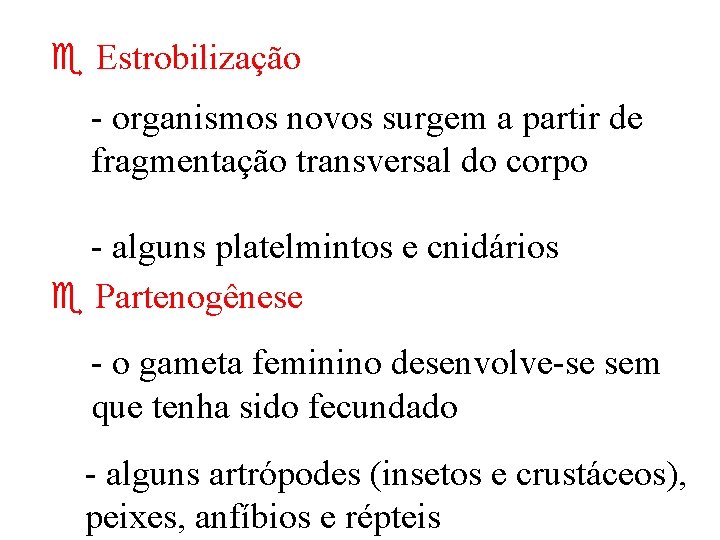  Estrobilização - organismos novos surgem a partir de fragmentação transversal do corpo -