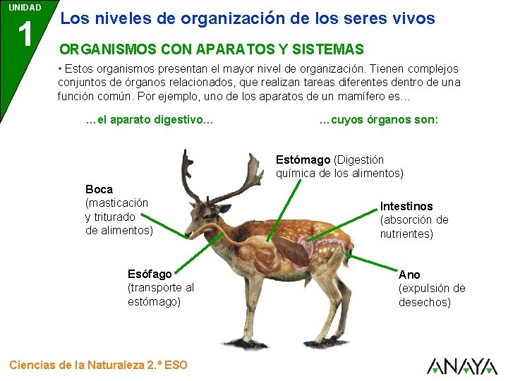 UNIDAD 1 Los niveles de organización de los seres vivos ORGANISMOS CON APARATOS Y