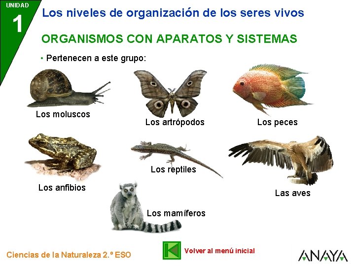 UNIDAD 1 Los niveles de organización de los seres vivos ORGANISMOS CON APARATOS Y