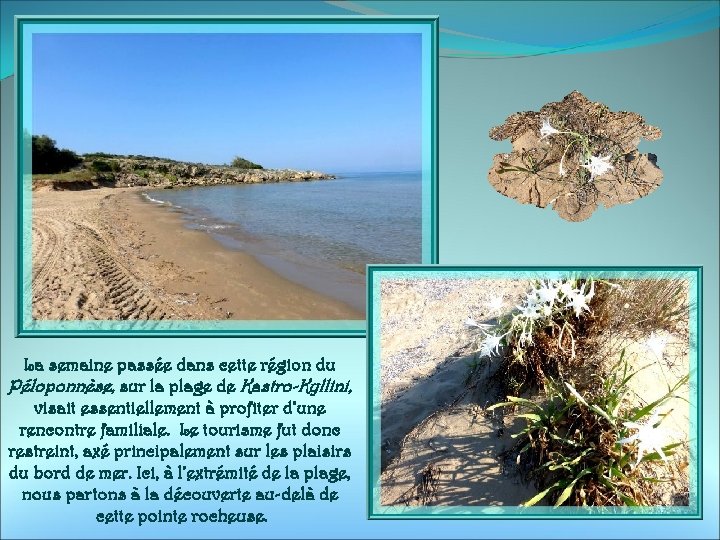 La semaine passée dans cette région du Péloponnèse, sur la plage de Kastro-Kyllini, visait