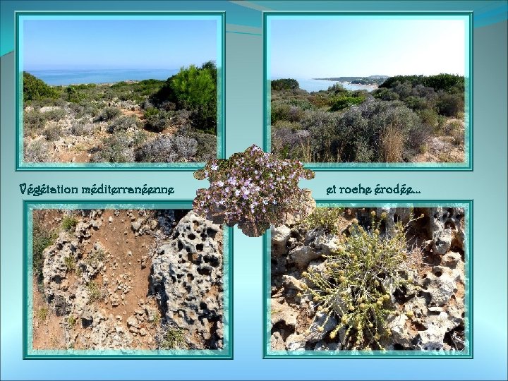 Végétation méditerranéenne et roche érodée… 