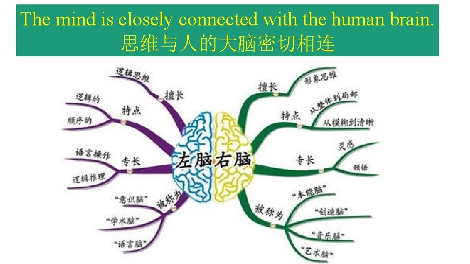 The mind is closely connected with the human brain. 思维与人的大脑密切相连 