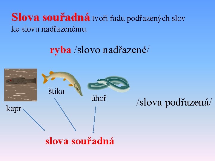 Slova souřadná tvoří řadu podřazených slov ke slovu nadřazenému. ryba /slovo nadřazené/ štika úhoř