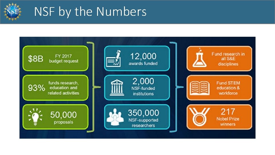 NSF by the Numbers 