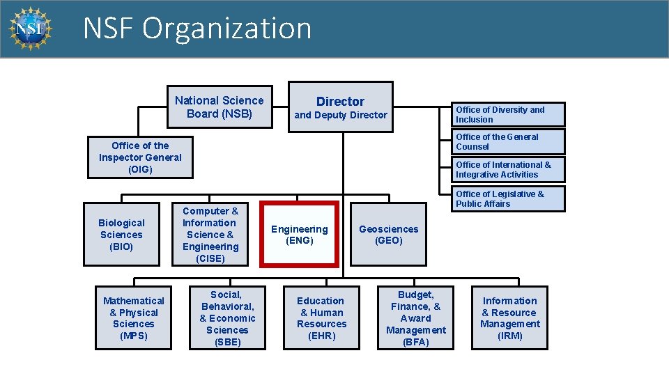 NSF Organization National Science Board (NSB) Director and Deputy Director Office of the General