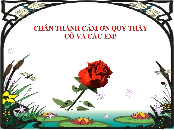 CH N THÀNH CẢM ƠN QUÝ THẦY CÔ VÀ CÁC EM! 