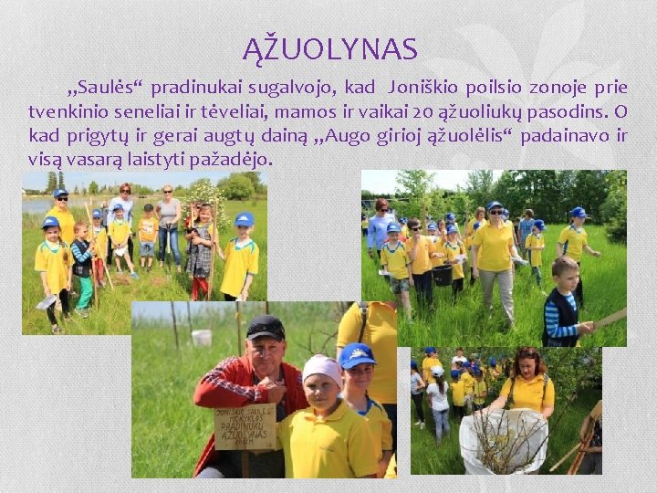 ĄŽUOLYNAS „Saulės“ pradinukai sugalvojo, kad Joniškio poilsio zonoje prie tvenkinio seneliai ir tėveliai, mamos