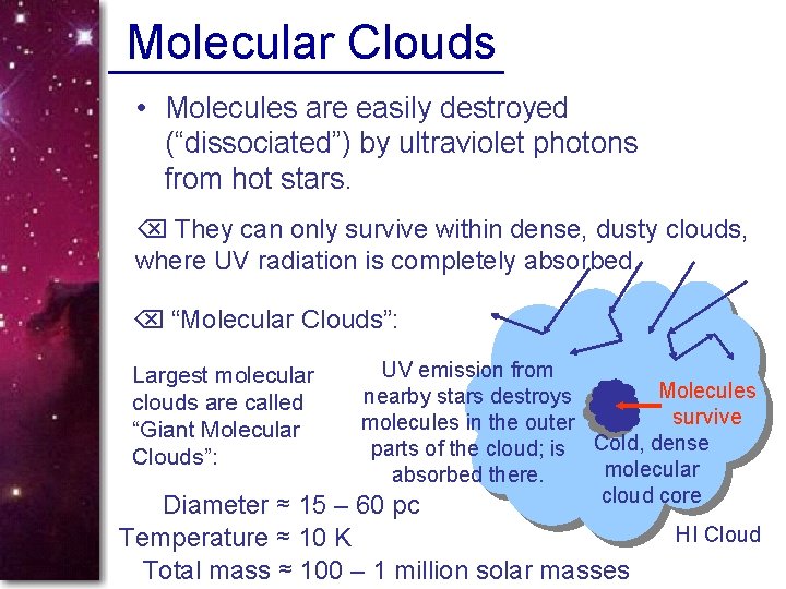 Molecular Clouds • Molecules are easily destroyed (“dissociated”) by ultraviolet photons from hot stars.
