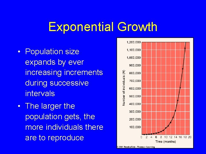 Exponential Growth • Population size expands by ever increasing increments during successive intervals •